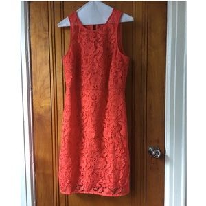 J.Crew Lace sheath dress style number A8182